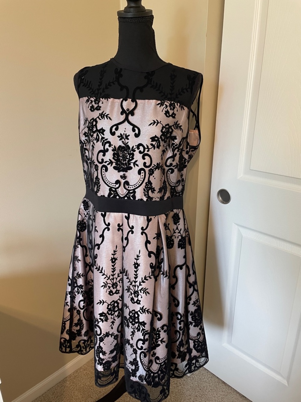 Black Velvet Appliqué Pink Fit & Flare Dress